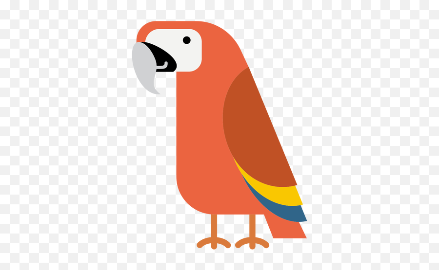 Macaw Parrot Bird Illustration - Transparent Png U0026 Svg Arara Png,Parrot Transparent