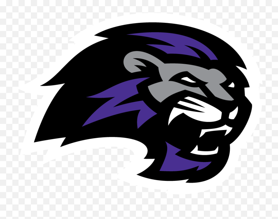 Download Image Result For Paine College - Paine College Athletics Logo Png,Lions Logo Png