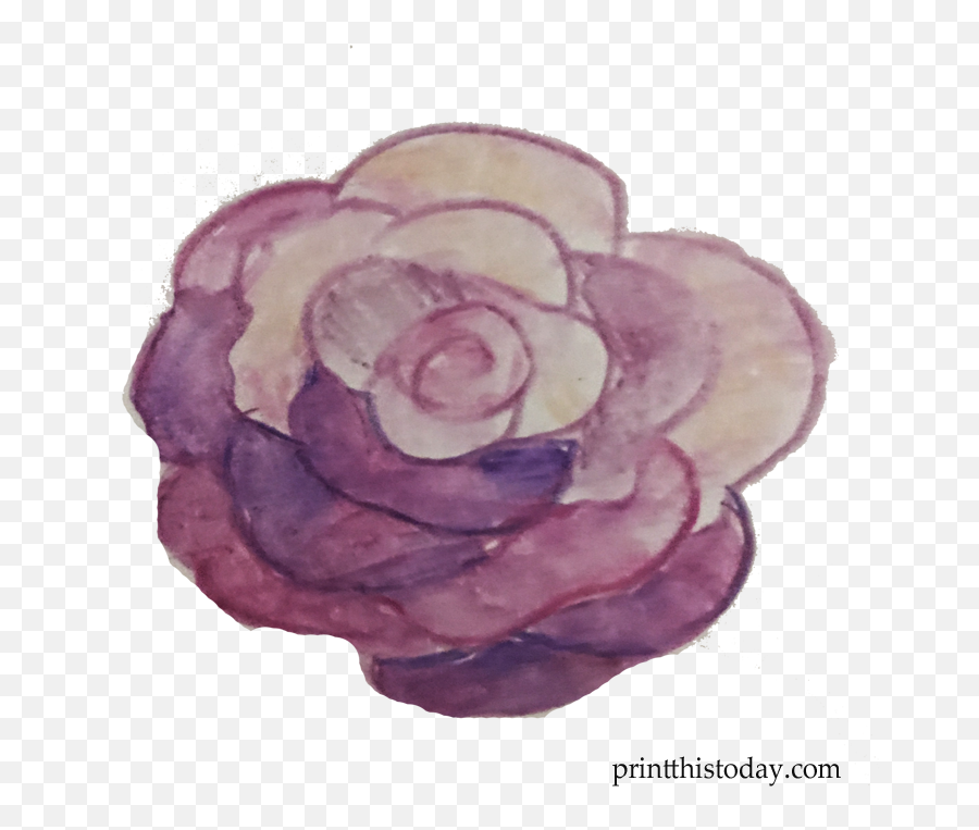 Free Handmade Watercolor Wreath And Flowers For Blogs - Garden Roses Png,Watercolor Rose Png