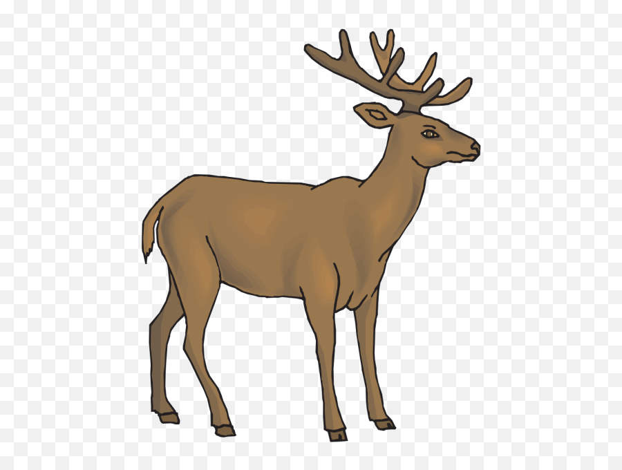 Deer Pictures Free Clip Art - Deer Clipart Cartoon Png,Cow Icon Cliart