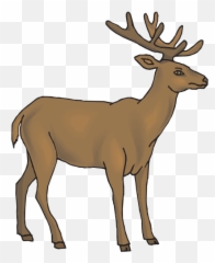Deer Pictures Free Clip Art - Clipart Cartoon png