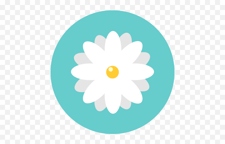 Blossom Chamomile Daisy Flower Flowers Png Icon