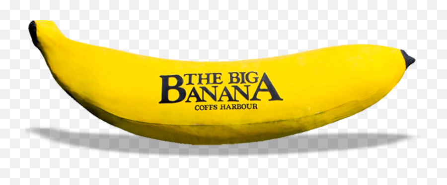 The Big Banana - The Most Well Known Big Icon In Australia Big Banana Png,Icon Gallery Brunswick