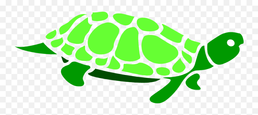 Clipart Turtle Green - Transparent Background Graphic Turtle Clip Art Png,Cute Turtle Png
