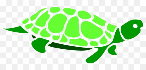 Clipart Turtle Green - Transparent Background Graphic Turtle Art png