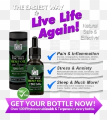 Broad Spectrum Hemp Oil Thc Free - Solution png