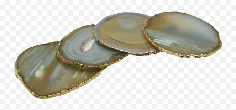 Agate Coasters With Gold Trim Set Of 4 - Coin Purse Png,Gold Trim Png