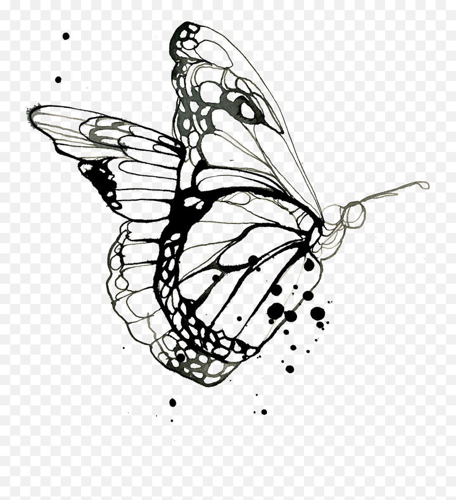 Tattly Flutter Stina Persson 00 V - Transparent Background Butterfly Png,Butterfly Tattoo Png