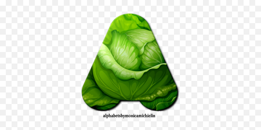 Alphabets By Monica Michielin Alphabet Cabbage Icon Png
