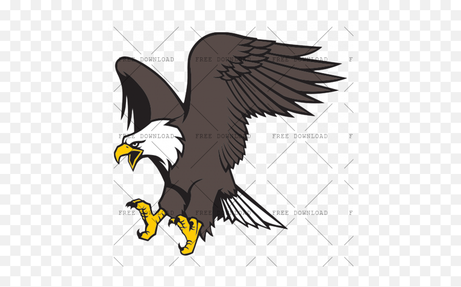 Eagle Hawk Kite Bird Png Image With Transparent Background - Eagle Bird Transparent Background,Bald Eagle Transparent