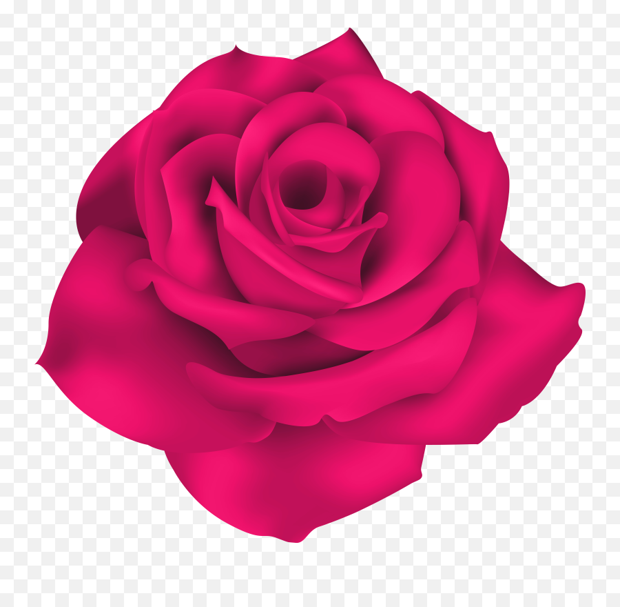 Single Pink Rose Png Images Transparent - Red Rose Png,Pink Rose Png