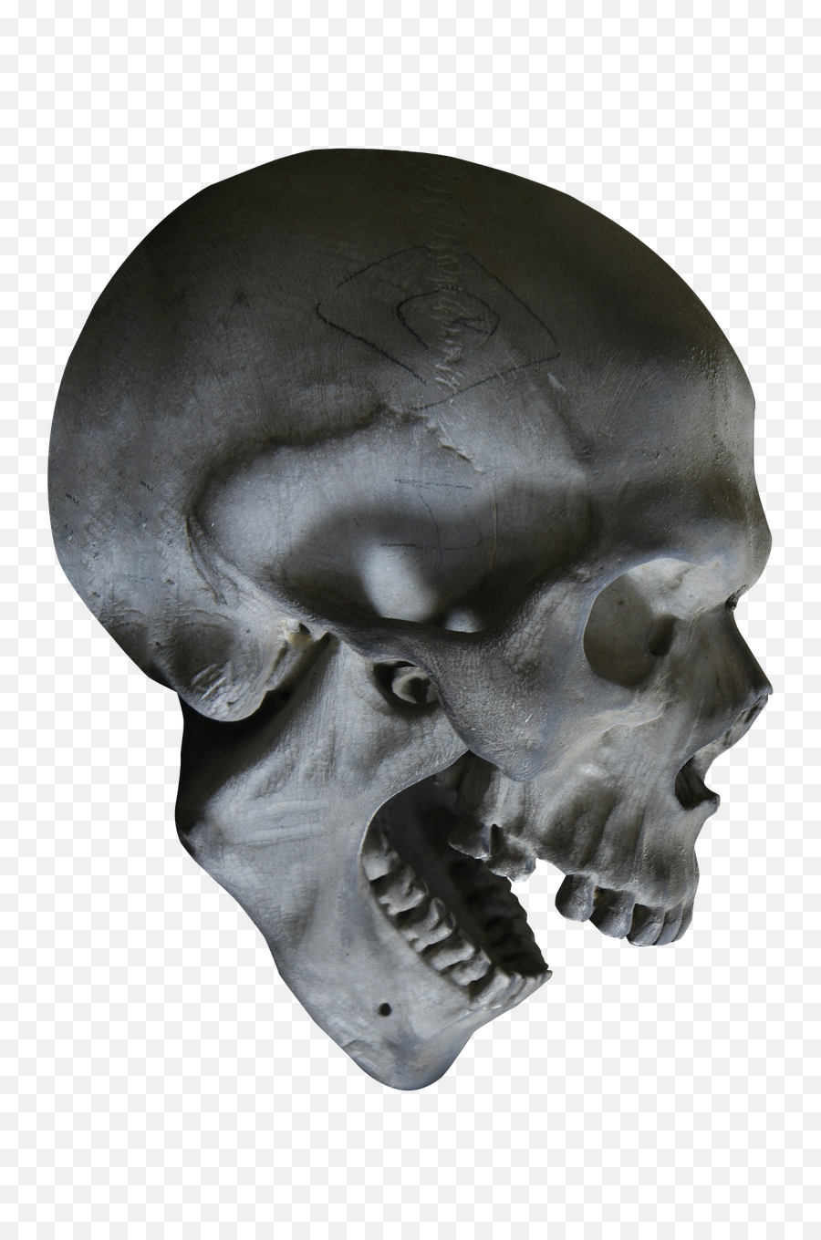 Skull головы