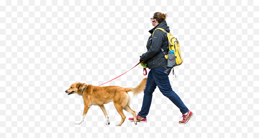 Woman Walking Dog Windy Day - People Png Walking,Leash Png