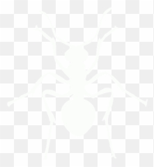 Logo Computer Youtube Icons Download Hq - Transparent Black Subscribe Button Png