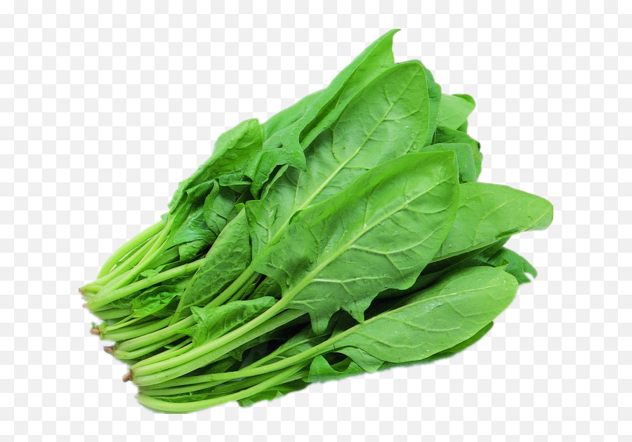 Spinach Png - Green Leafy Vegetables Png,Spinach Png