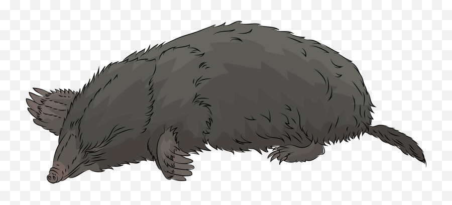 Mole Clipart Free Download Transparent Png Creazilla - Pest,Mole Png