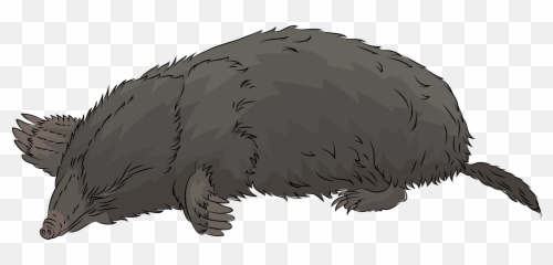 Mole Clipart Free Download Transparent Png Creazilla - Pest,Mole Png