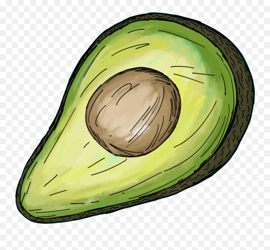 Plant Food Avocado Png Clipart