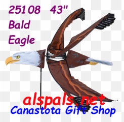 Eagle Flying 43 Bird Spinners - Layang Pesawat Capung png