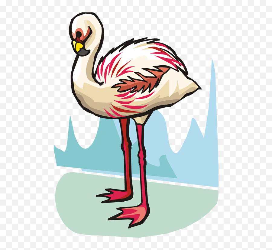 Related Pictures Funny Flamingo Bird Clipart Graphic - Clip Art Png,Flamingo Clipart Png