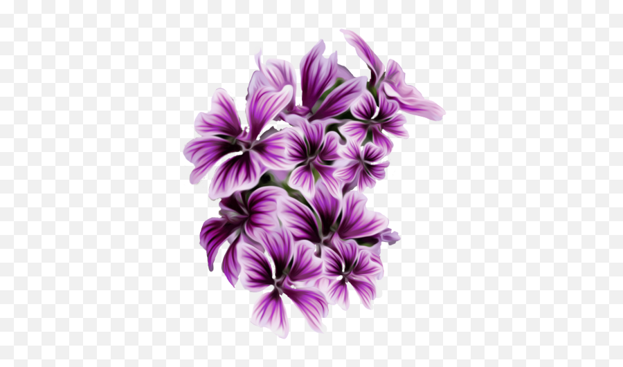 Pin - Purple Flowers Hd Png,Purple Flowers Png