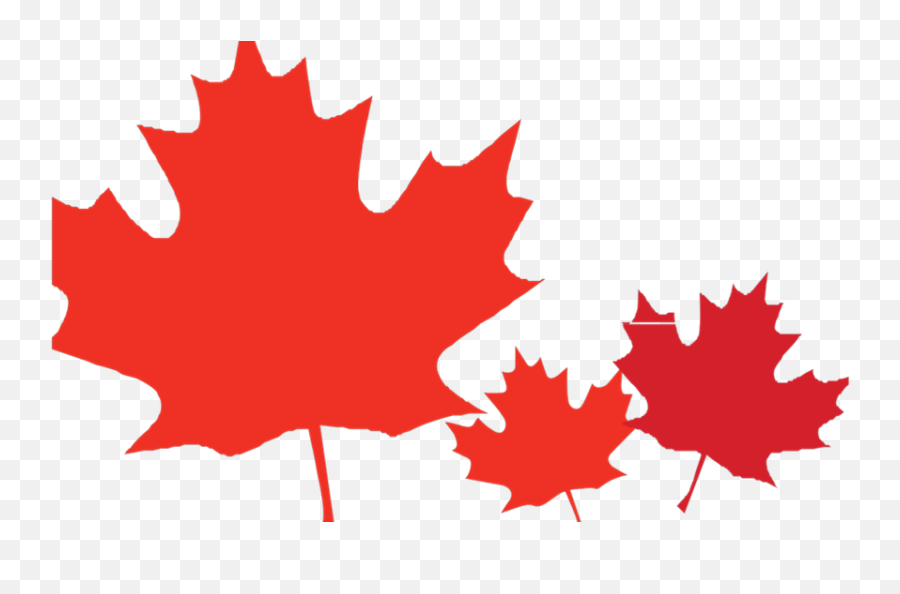 Canadian Leaf Png - Maple Leaf Maple Leaf Clipart Png,Canadian Maple Leaf Png