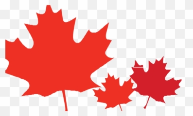 Canadian Leaf Png - Maple Leaf Clipart Png