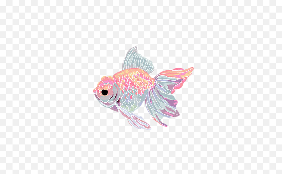 Goldfish Clipart Kawaii - Transparent Background Fish Gif Png,Goldfish Transparent