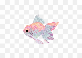 Goldfish Clipart Kawaii - Transparent Background Fish Gif png
