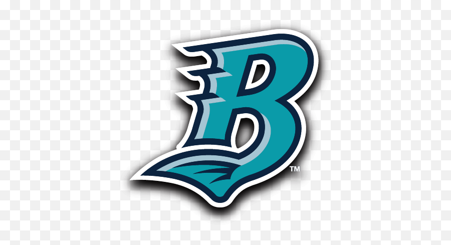 Portfolio - Bridgeport Bluefish Football Logo Design Bridgeport Bluefish Logo Png,Georgia Gwinnett College Logo