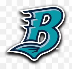 Portfolio - Bridgeport Bluefish Football Logo Design Bridgeport Bluefish Logo Png,Georgia Gwinnett College Logo