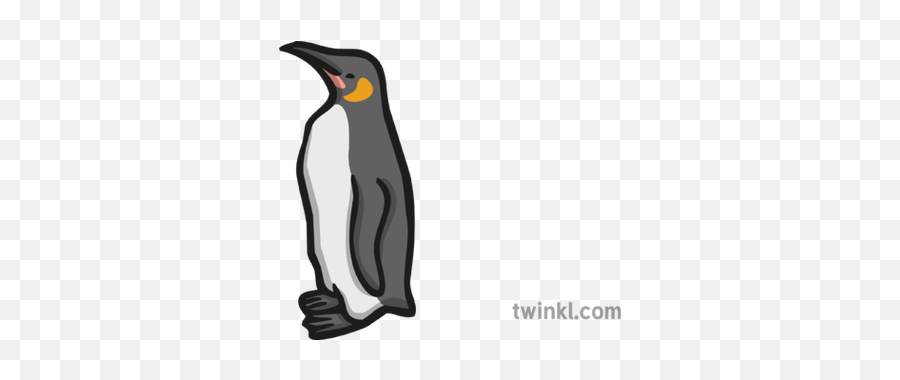 Penguin Icon Illustration - King Penguin Png,Penguins Icon