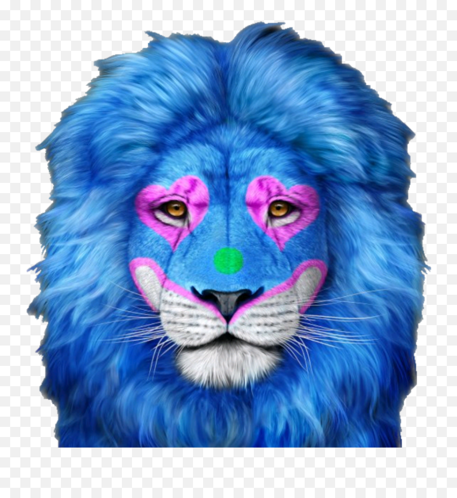 Lion Face Lionface - Sticker By Png,Lion Head Transparent