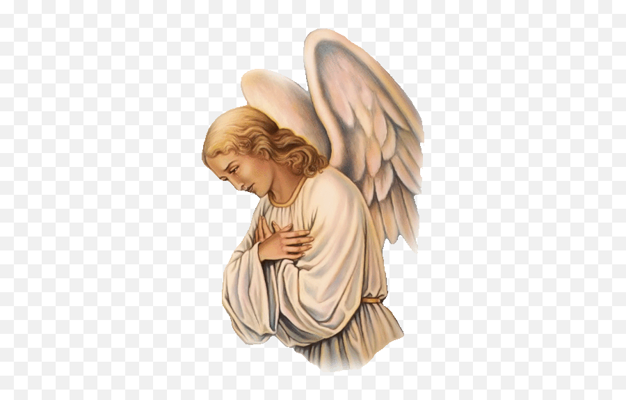Angel Wings Sticker - Angel Wings Holy Discover U0026 Share Gifs Angel Png,Angel Wings Icon For Facebook