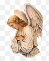 Angel Wings Sticker - Holy Discover u0026 Share GIFs png