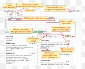 Browse 4dn Dcic Data U2014 Nucleome Browser V093 Documentation - Vertical png