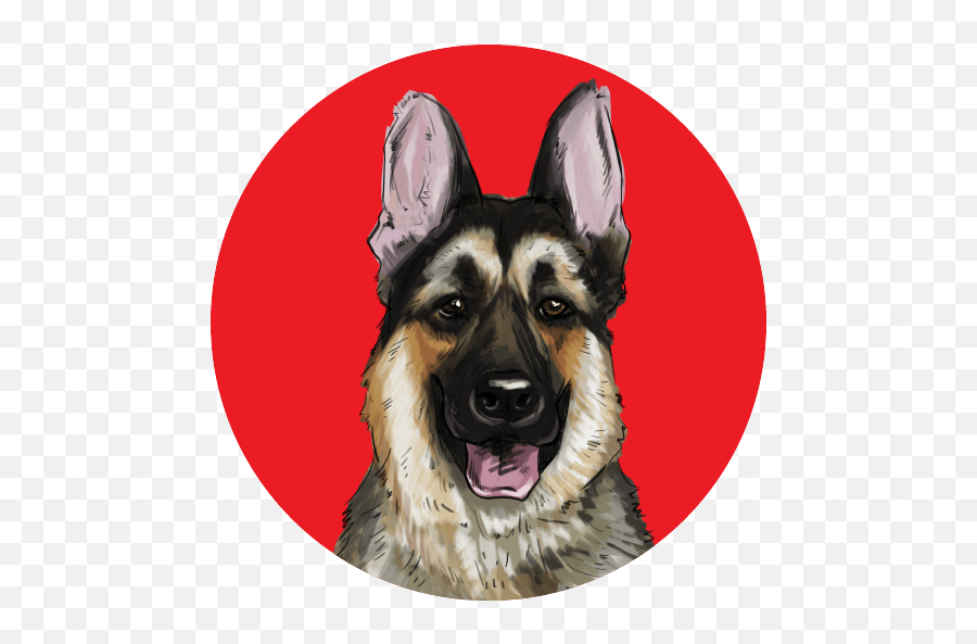About Us - Boss Nation Brands Png,German Shepard Puppy Icon