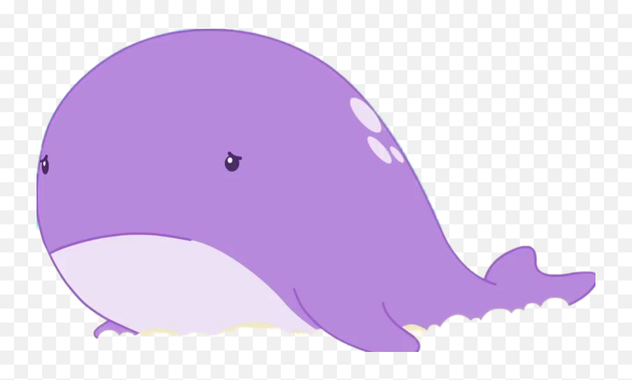 Whale Molang Wikia Fandom - Tucuxi Png,Molang Png