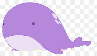 Whale Molang Wikia Fandom - Tucuxi Png,Molang Png