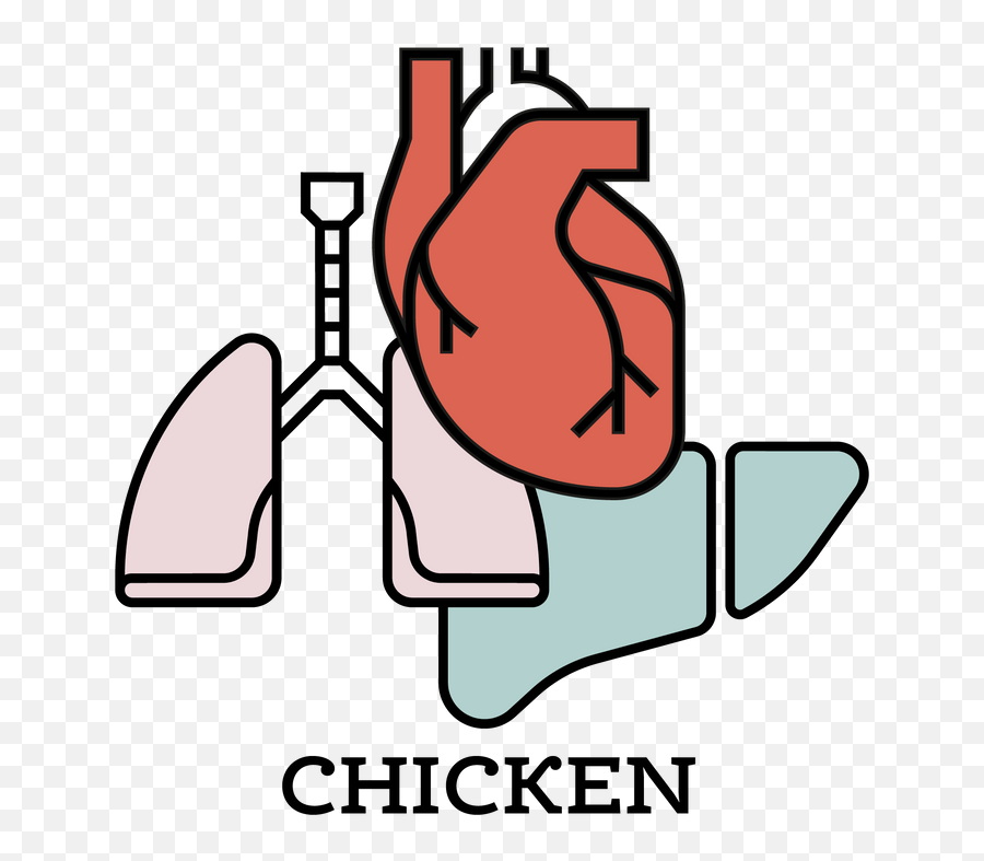 Chicken Organ Mix - Language Png,Anatomy Icon