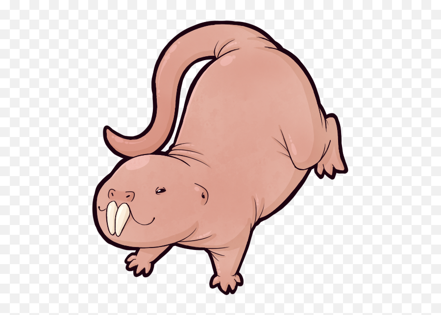 Naked Mole Rats - Mole Rat Clip Art Png,Rats Png