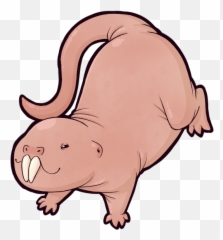 Naked Mole Rats - Mole Rat Clip Art Png,Rats Png