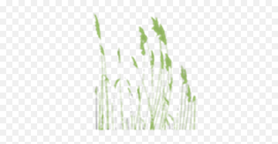 Weedsgrass - Roblox Png,Weeds Png