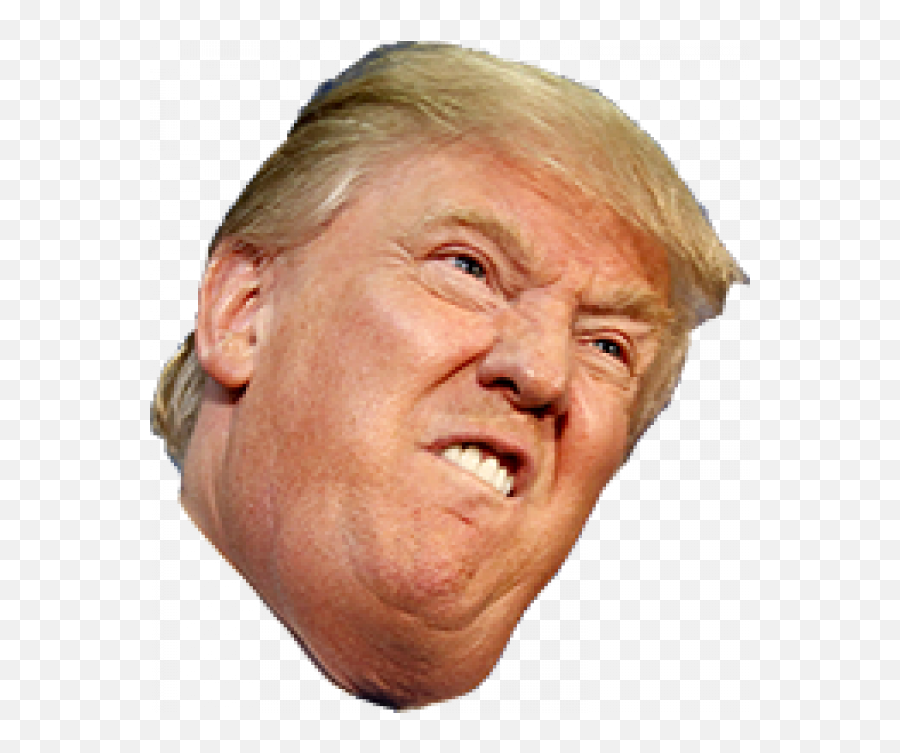 Donald Trump Head Transparent - Things About Donald Trump Png,Trump Transparent Background