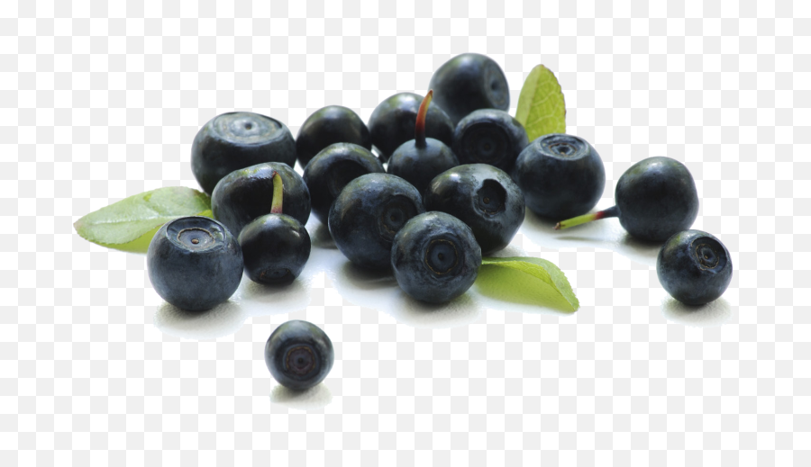 Hd Blueberry Transparent Background - Acai Berry Transparent Png,Berries Png