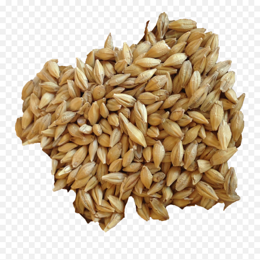 Barley Transparent Background Png Arts - Barley Spices,Wheat Transparent Background