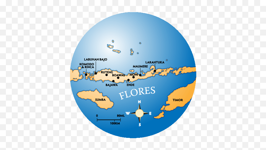 Discover Flores Komodo Png