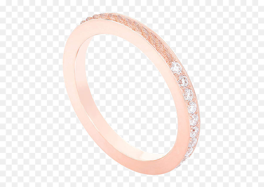 Force 10 Duo Ring - Ring Png,Life Ring Png