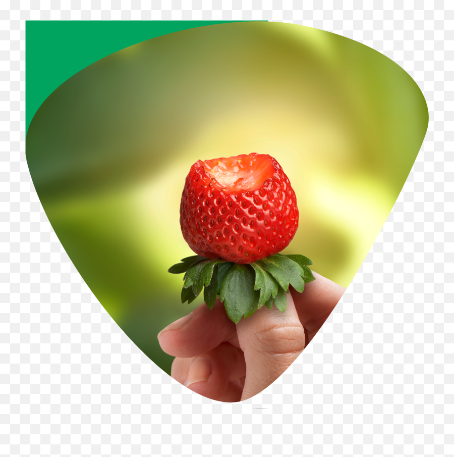 Recipes - Strawberry Png,Transparent Strawberry