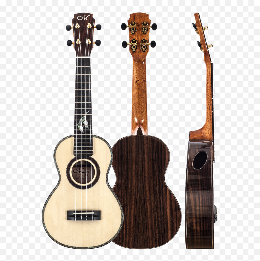 Download Master Series Ukulele Sprucerosewood - Anuenue Most Beautiful Ukulele Designs Png,Ukulele Png